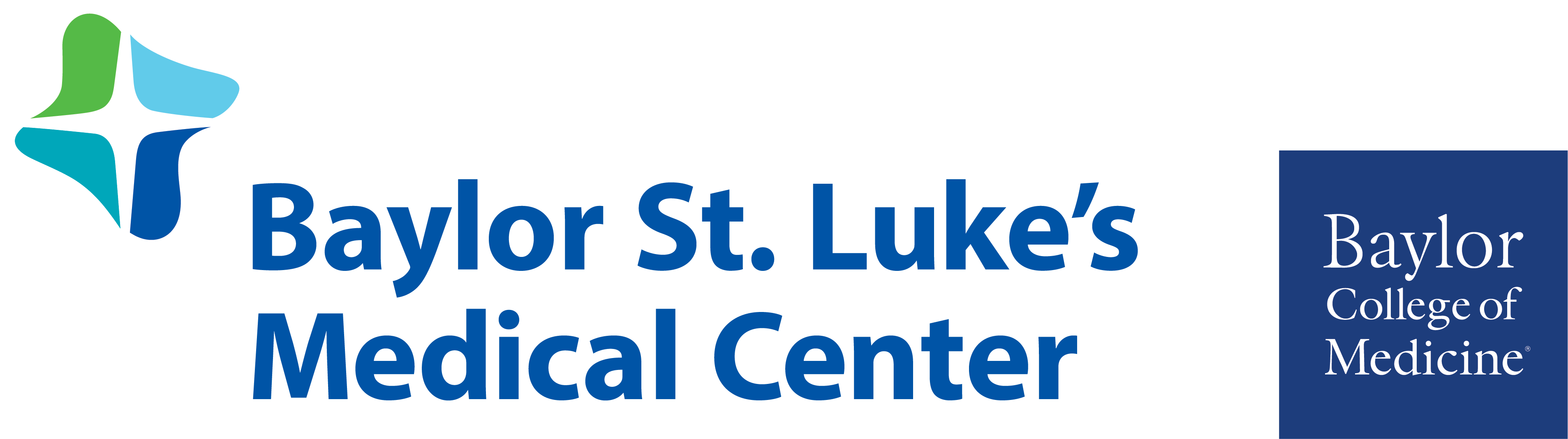 Baylor St. Luke's Medical Center - McNair Campus 